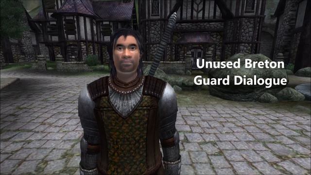 Oblivion: Unused Breton Guard Dialogue