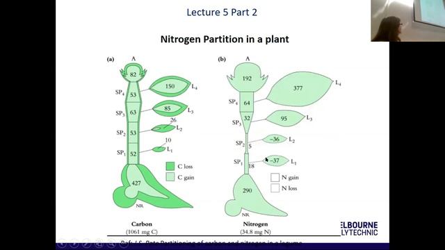 Zoom classroom week 4Class Nutrients смотреть онлайн
