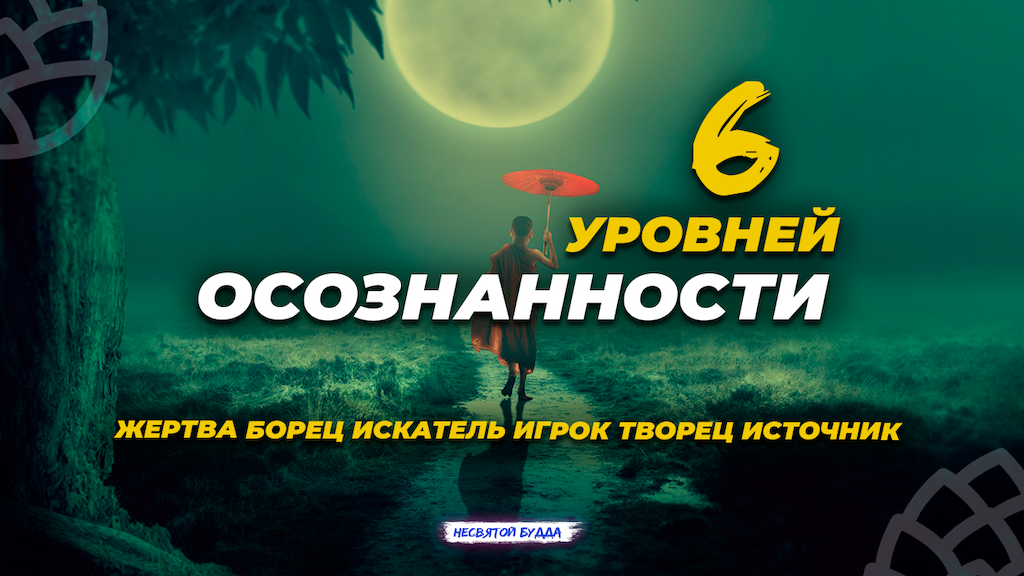 6 уровней осознанности. Жертва. Борец. Искатель. Игрок. Творец. Источник