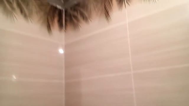 Ремонт ванной комнаты на момент сдачи через 16 дней... смотреть онлайн