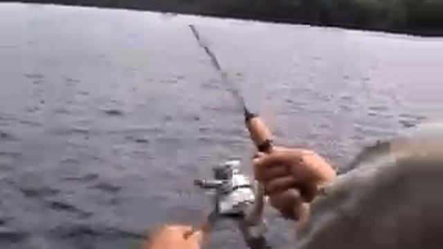 Диалоги о рыбалке ( Щука) смотреть онлайн