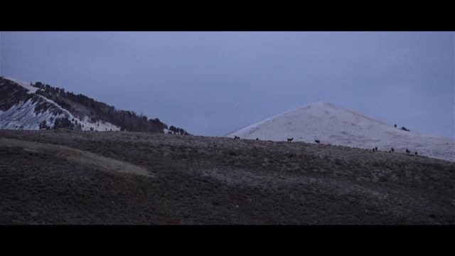 The Western Hunter Season VIII Teaser смотреть онлайн