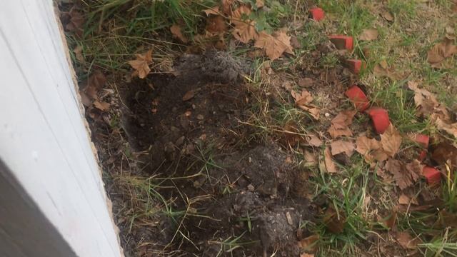 ? ПРОТИВОТЕРМИТНАЯ ОБРАБОТКА ДОМА ВО ФЛОРИДЕ США ? 04/03/2017 смотреть онлайн