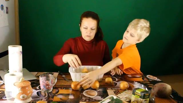 Выращивание ЗЕЛЕНИ ЛУКА дома БЕЗ ЗЕМЛИ к НОВОМУ ГОДУ | Конкурс АЛЬФА-ОМЕГА смотреть онлайн