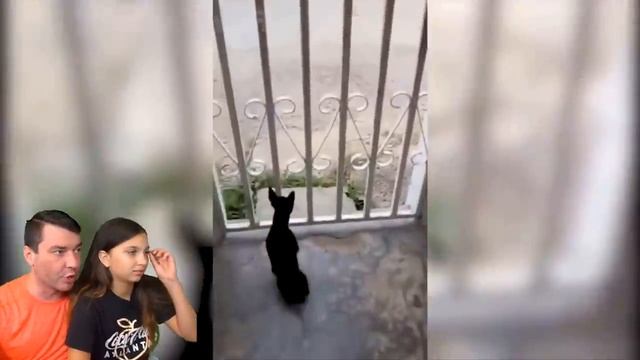 СМЕШНЫЕ КОТЫ и СОБАКИ В ШКОЛЕ ? Животные в ТикТок ! НЕ ЗАСМЕЙСЯ ЧЕЛЛЕНДЖ Funny .mp4 смотреть онлайн