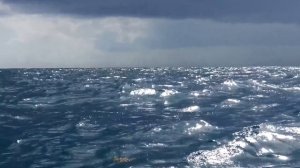 США. РЫБА нашей МЕЧТЫ! :) Океаническая РЫБАЛКА, Дегустация улова...Часть 2