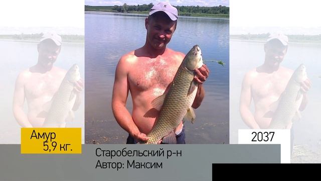 Фотоальбом - Рыбалка №407 смотреть онлайн