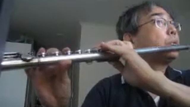 141007 찬송가 메들리 Hymns Medley - 401 297 and 481 장 - Pearl Nickel Flute смотреть онлайн