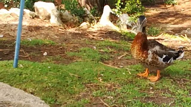 День 4-1. Гроты Мира – де – Айре-06 смотреть онлайн