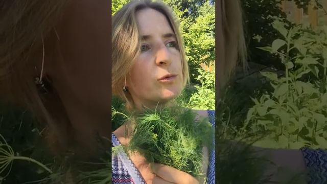 Елена Абрамова: настоящее коллоидное серебро Аргент-Макс: какие результаты и почему! смотреть онлайн