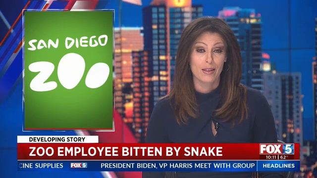San Diego Zoo Worker Bitten By Venomous Snake смотреть онлайн