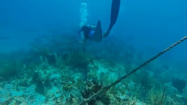 Key Largo 2015 смотреть онлайн