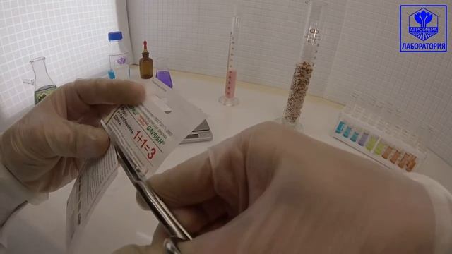 Огурец Папенькина Дочка. Гавриш смотреть онлайн