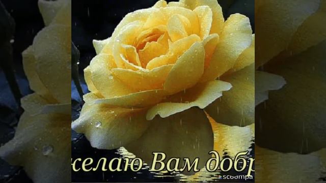 Утра доброго всем! Друзья смотрите видео до конца жмите на пальчик вверх и на колокольчик, делитесь смотреть онлайн