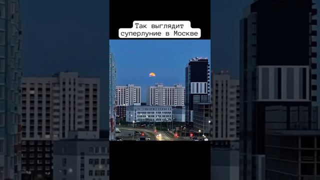 Суперлуние 2023 #москва #луна #суперлуние #красота #небо #звезды #планеты смотреть онлайн