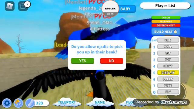 😲ИГРА СИМУЛЯТОР ПТИЦЫ 😲 смотреть онлайн