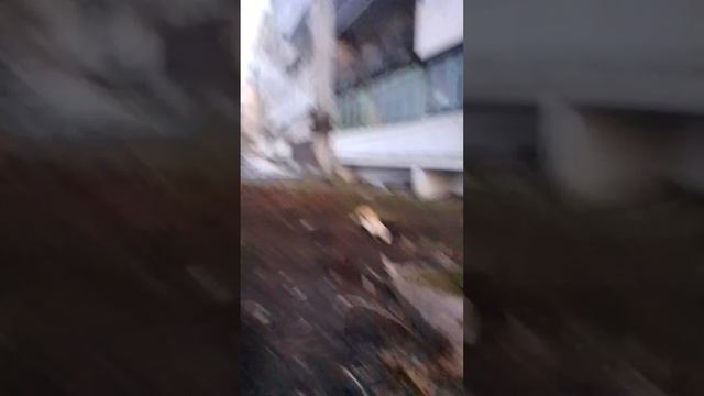 Мартовские коты желают познакомиться😁😁 смотреть онлайн