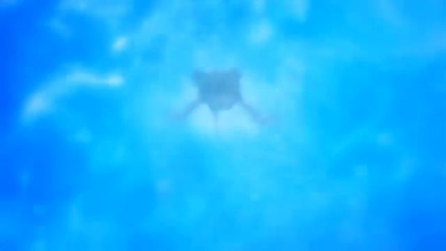 Y2mate.mx-Toradora AMV_ Fireflies ♥.mp4