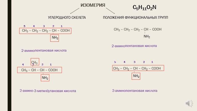 10 класс Аминокислоты