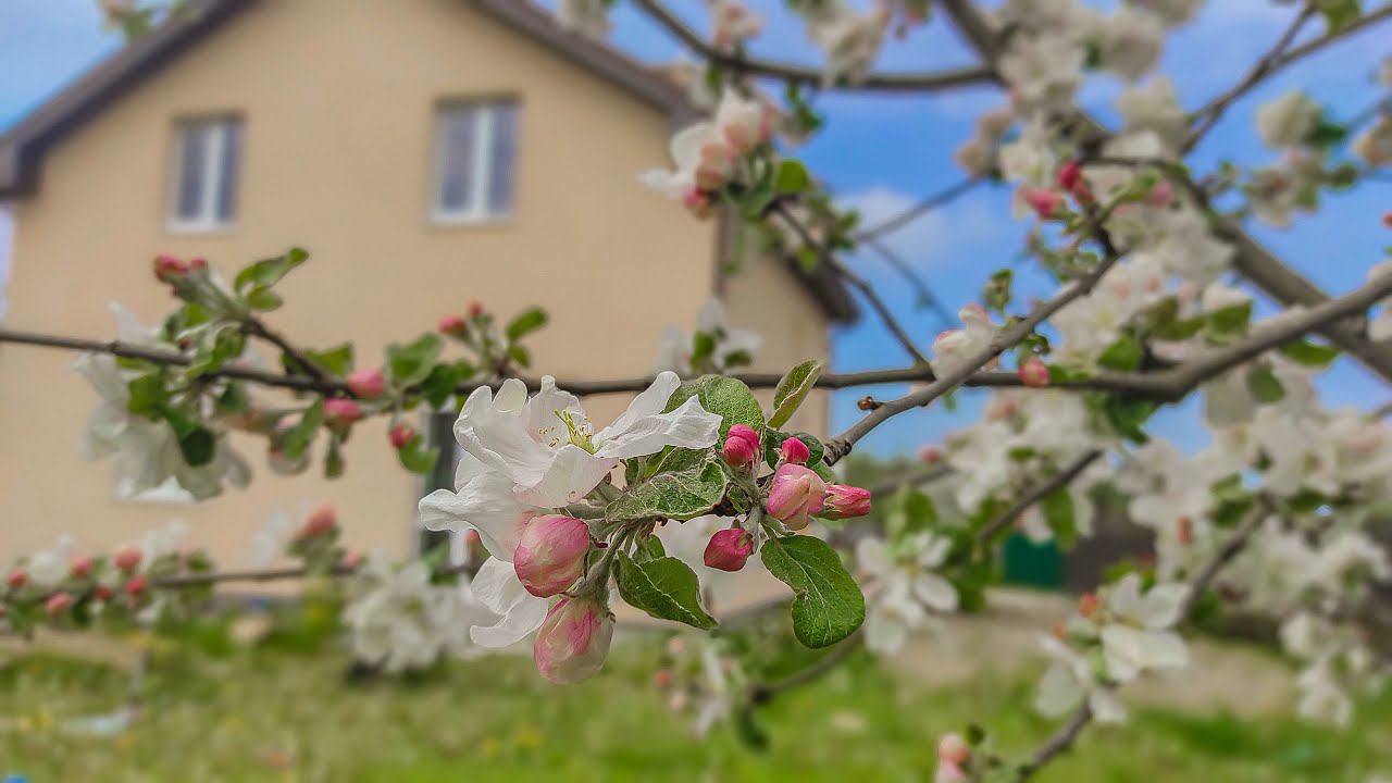 Дом 157 м² на участке 8 сот. пос. Дорожный (Орловка) смотреть онлайн