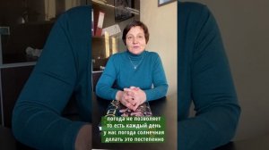 Когда снимать укрытия с туй?