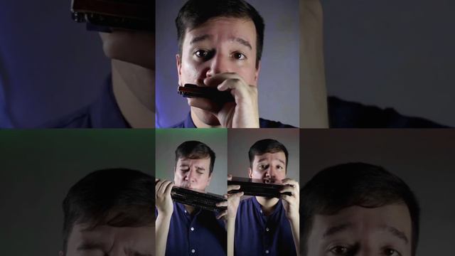 Orange Blossom Special Harmonica - Easttop Bass, Compact Chord & Blues Standard смотреть онлайн