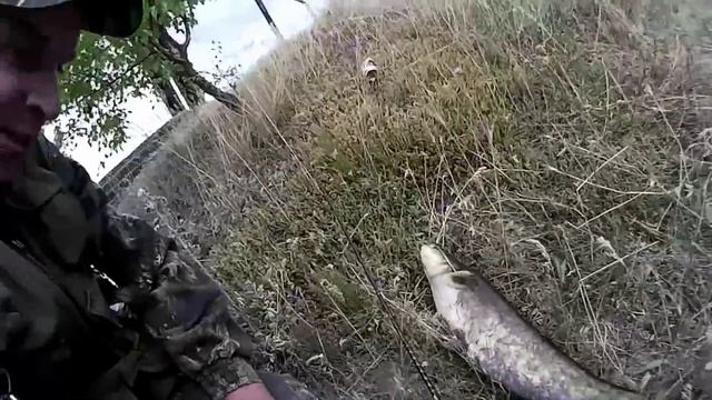 Рыбалка на реке с берега ловля на спиннинг сома судака леща бычка на ультралайт микроджиг видео смотреть онлайн