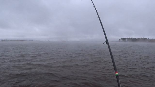 РЫБАЛКА НА АЭС. ТИЛЯПИЯ НА ФИДЕР. Рыбалка в Удомле. Tilapia. Fishing At The Nuclear Power Plant