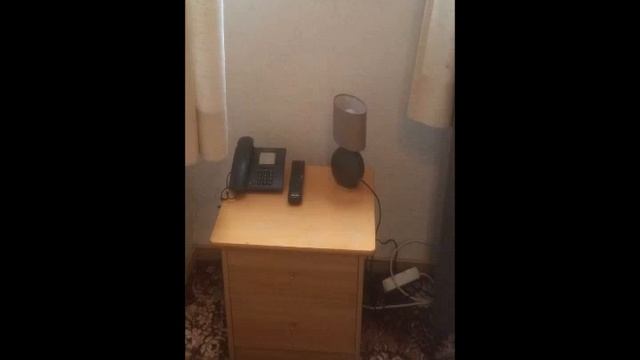 The Cheapest and The Best Hotel in Berlin смотреть онлайн
