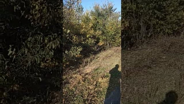 Самоходное шасси 2015 смотреть онлайн