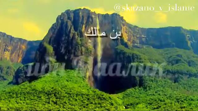 Родословная Пророка Мухьаммада, мир Ему и благословение Аллаhа, до 'Аднаан смотреть онлайн