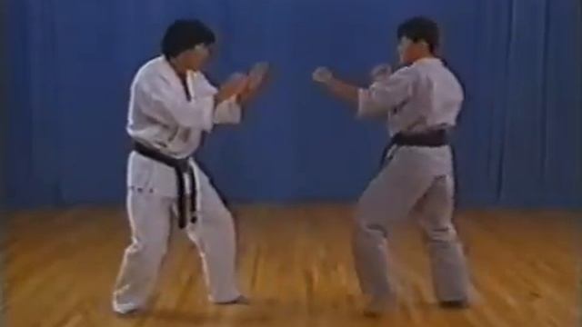 Ashihara / Enshin Karate Blind Spot Position смотреть онлайн