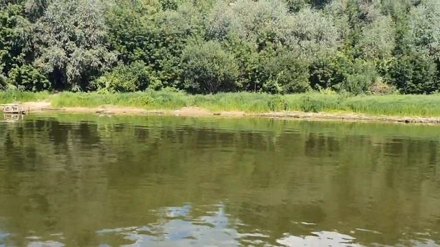 На теплоходе от Тарусы по Оке 14 августа 2021 года смотреть онлайн