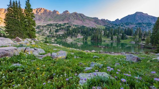 Nature-4K Video-UHD TV ( 2160 X 3840 ).webm