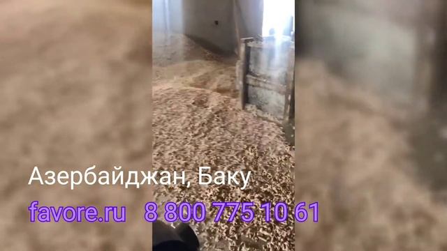 Монтаж ЭКСТРУДЕРА ЭК-300 от компании ФАВОР. АЗЕРБАЙДЖАН Баку 2022. Делайте лучшие корма для животны смотреть онлайн