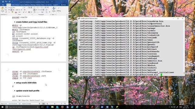 Oracle 12c ASM Silent Install смотреть онлайн