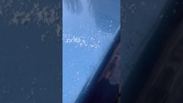 10 декабря 2022 г. смотреть онлайн