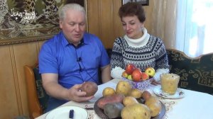 Новые вкусные сорта картофеля