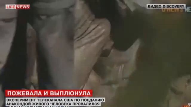 Анаконда всё испортила смотреть онлайн