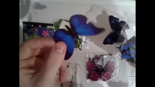 Обзор декоративных бабочек магнитов. Китайский Проспект. смотреть онлайн