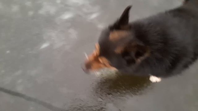 Славянск. 21 января 2023г. Вечер. смотреть онлайн