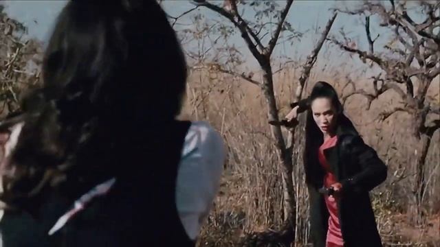 Karate , Girls Fight, Female fight scene, Villainess смотреть онлайн