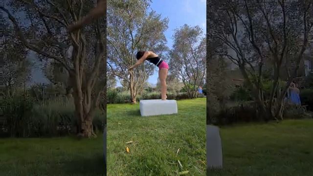 Pole Flip Camp 2021 смотреть онлайн