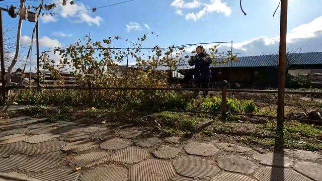 Первая ночь коров в сарае не прошла гладко. смотреть онлайн