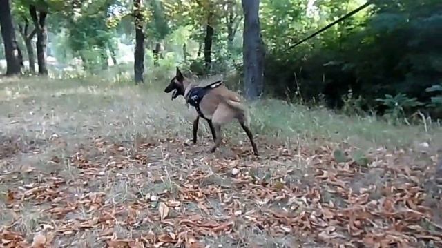 Рецепты детских ужинов