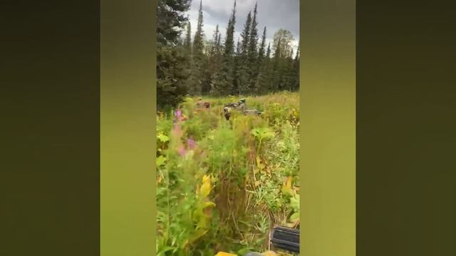 Приисковый, август 2022 год. смотреть онлайн