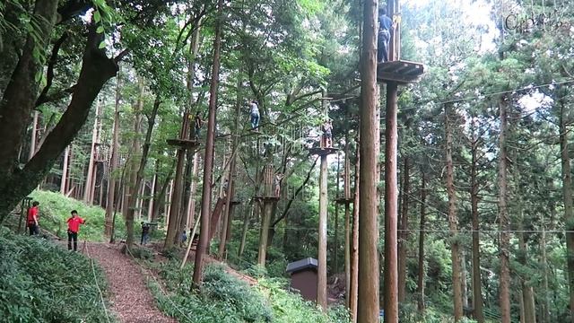 Где и как круто отдохнуть в Японии всей семьей или активно-экстримальные японо-выходные. смотреть онлайн