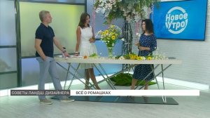 Ромашки