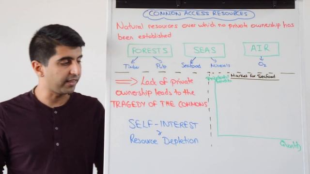 Y1 27) Common Access Resources - Tragedy of the Commons смотреть онлайн
