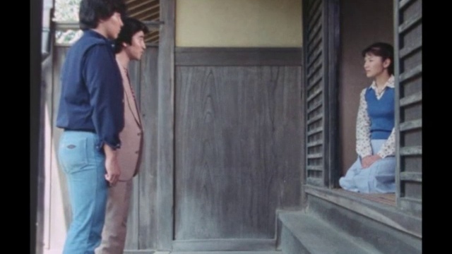 太陽にほえろ！ 第556話 南国土佐・黒の推理 смотреть онлайн